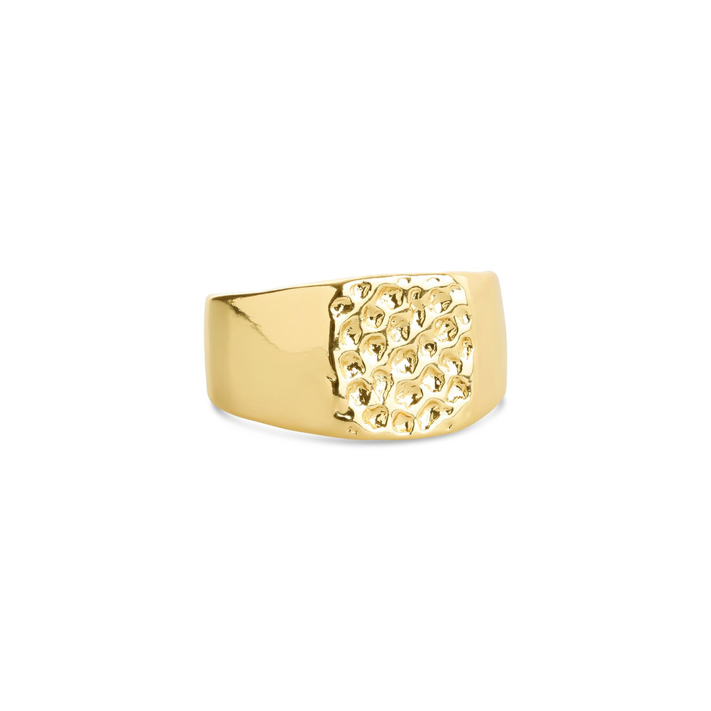 Blythe – Siegelring aus Edelstahl, Gold | Timi of Sweden